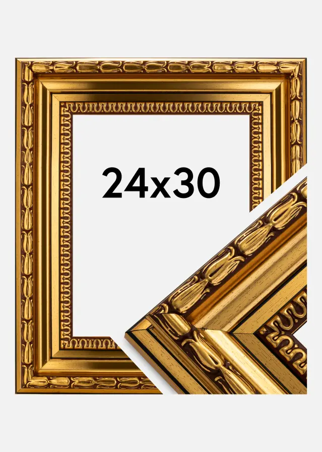 Ram Birka Premium Guld 24x30 cm