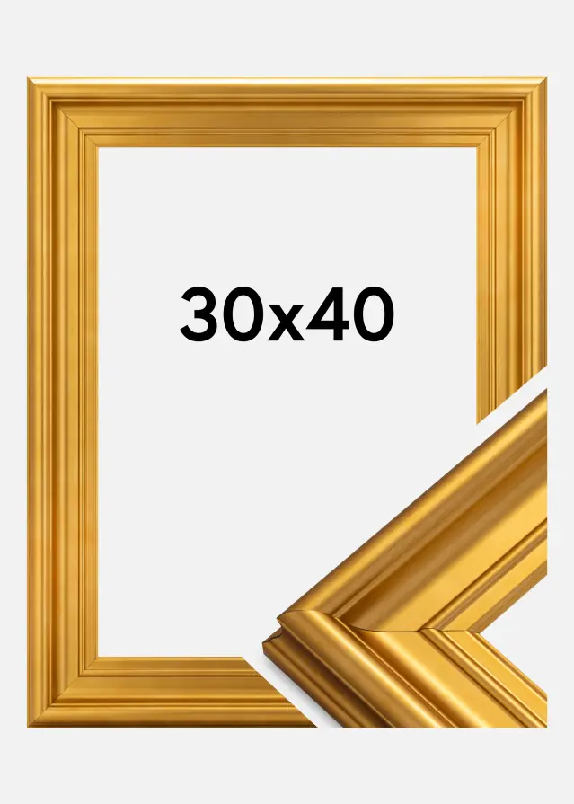 Ram Mora Premium Guld 30x40 cm