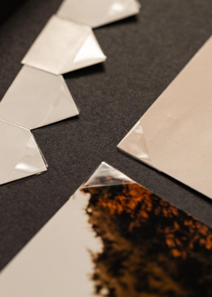 BGA Fotohörn - 250 st