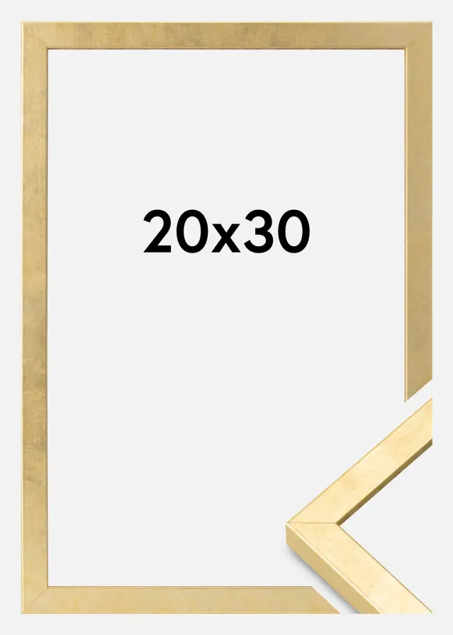 Ram Ares Akrylglas Guld 20x30 cm
