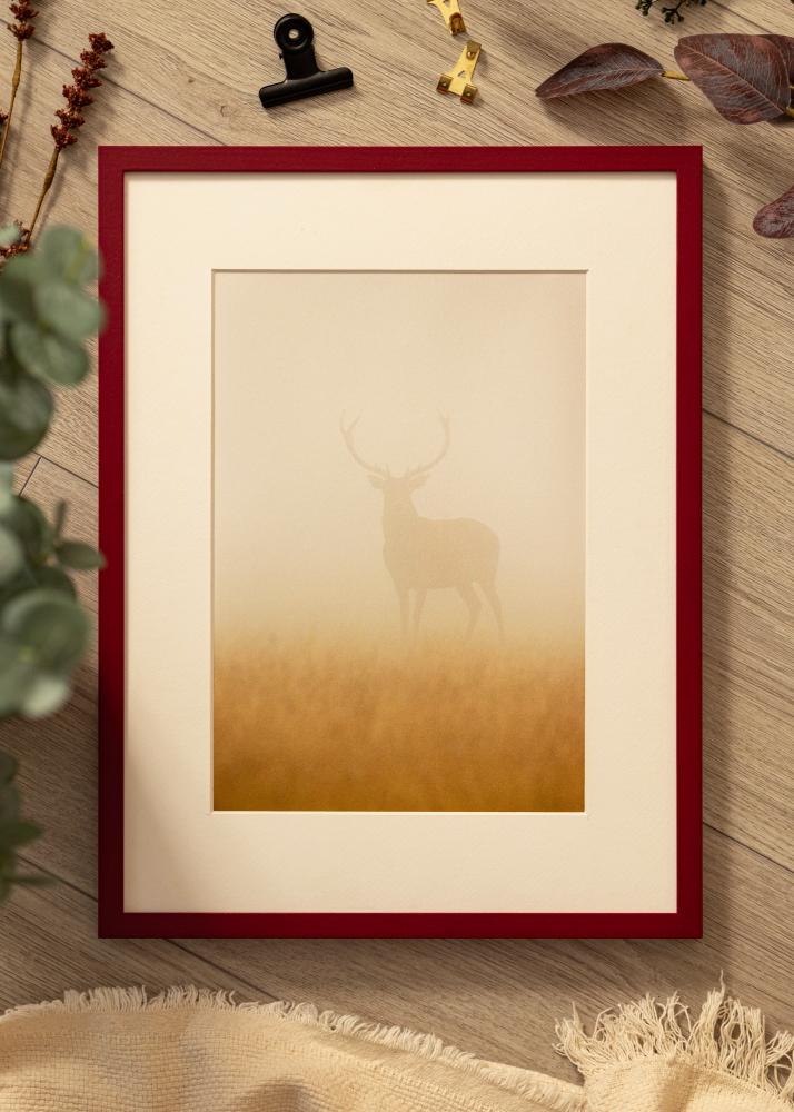 Colorful Akrylglas Röd 60x80 cm