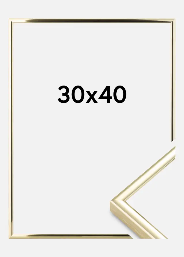Ram Nielsen Premium Classic Guld 30x40 cm
