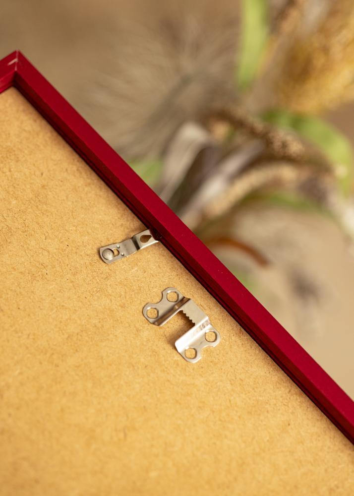 Colorful Akrylglas Röd 60x80 cm