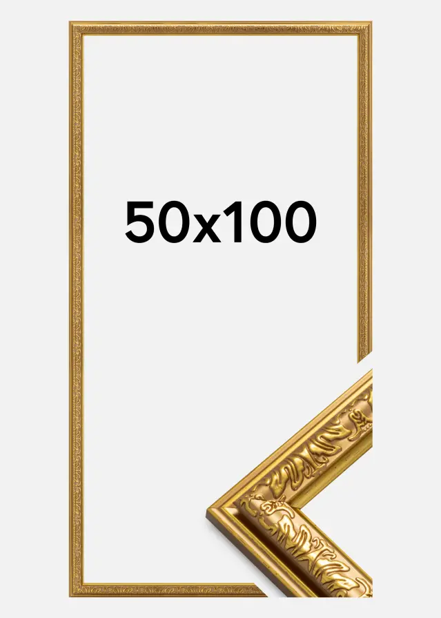 Ram Nostalgia Akrylglas Guld 50x100 cm