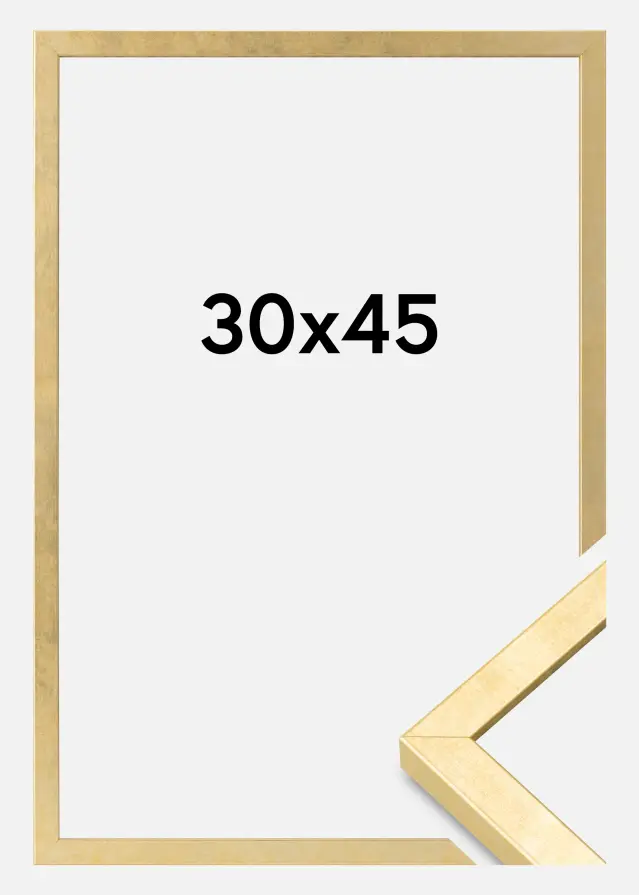 Ram Ares Akrylglas Guld 30x45 cm