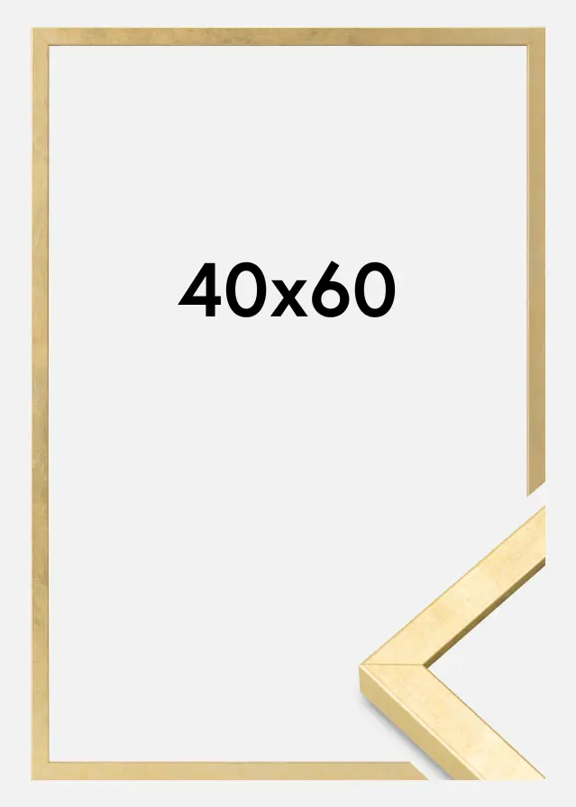 Ram Ares Akrylglas Guld 40x60 cm