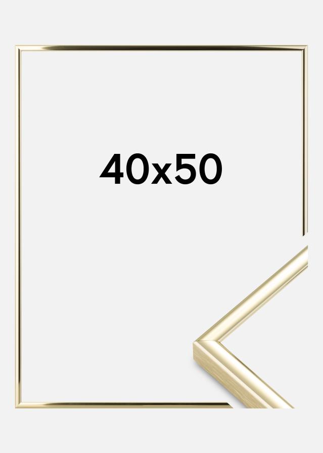 Ram Nielsen Premium Classic Guld 40x50 cm