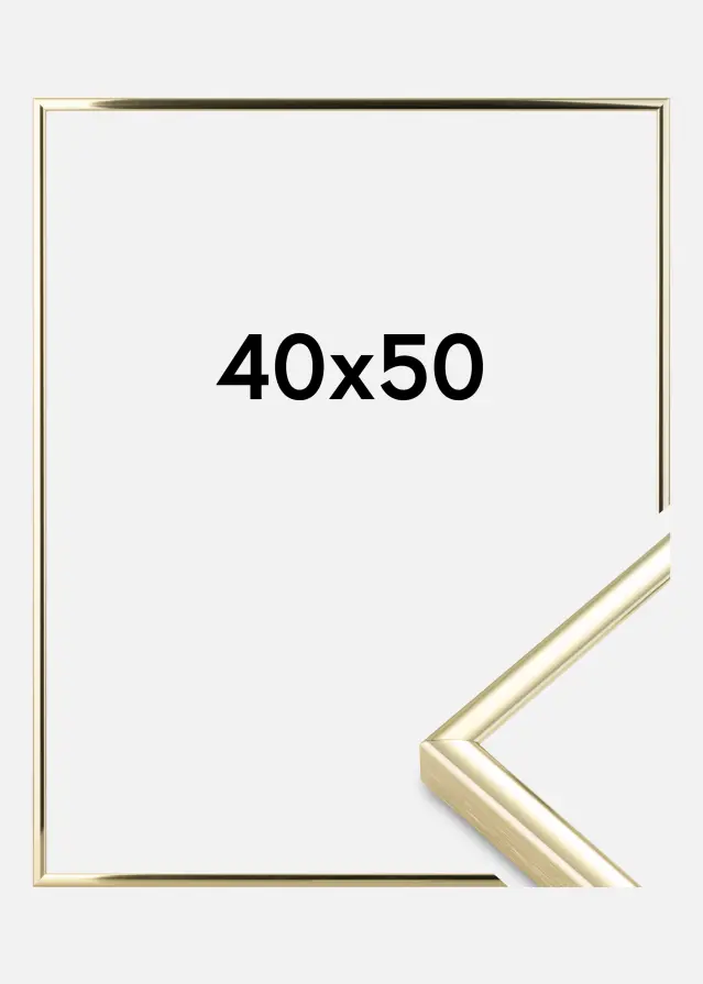 Ram Nielsen Premium Classic Guld 40x50 cm