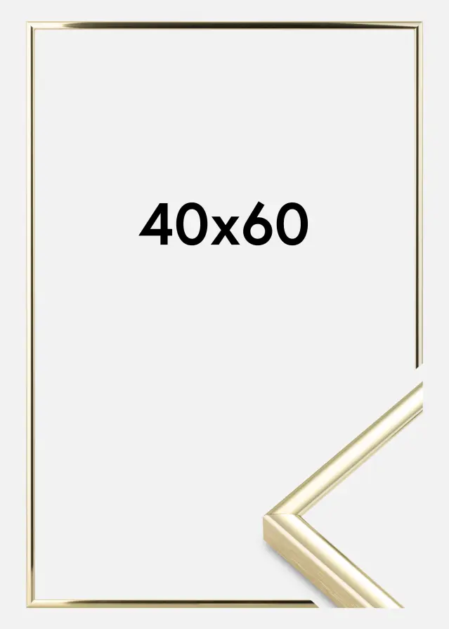 Ram Nielsen Premium Classic Guld 40x60 cm