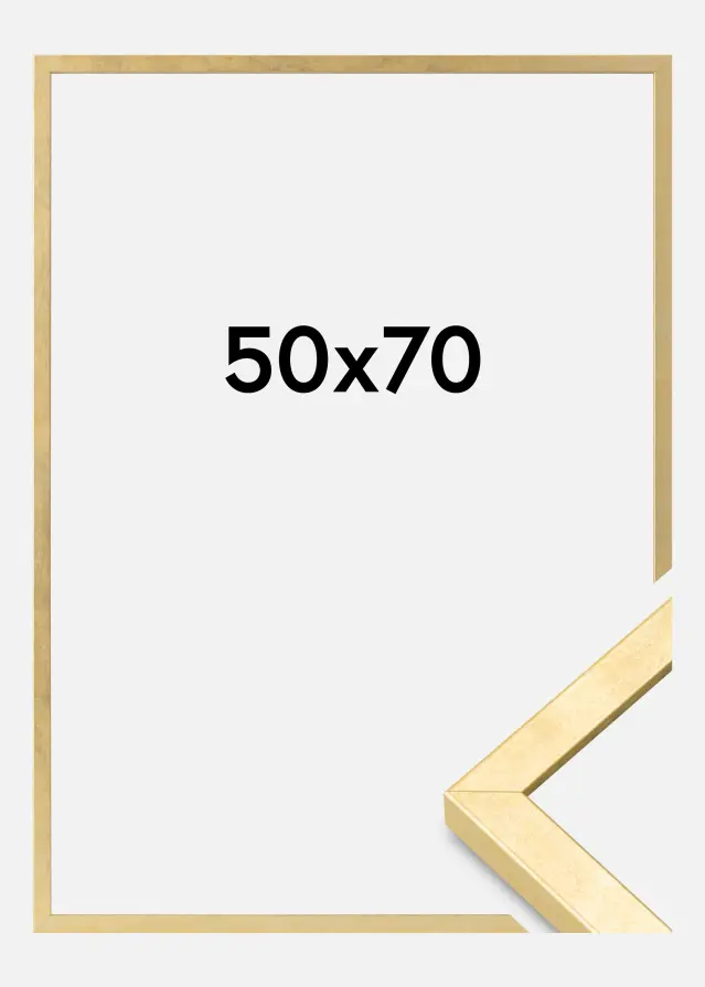 Ram Ares Akrylglas Guld 50x70 cm