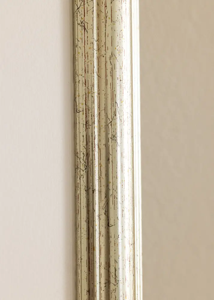 Ram Västkusten Silver 40x60 cm