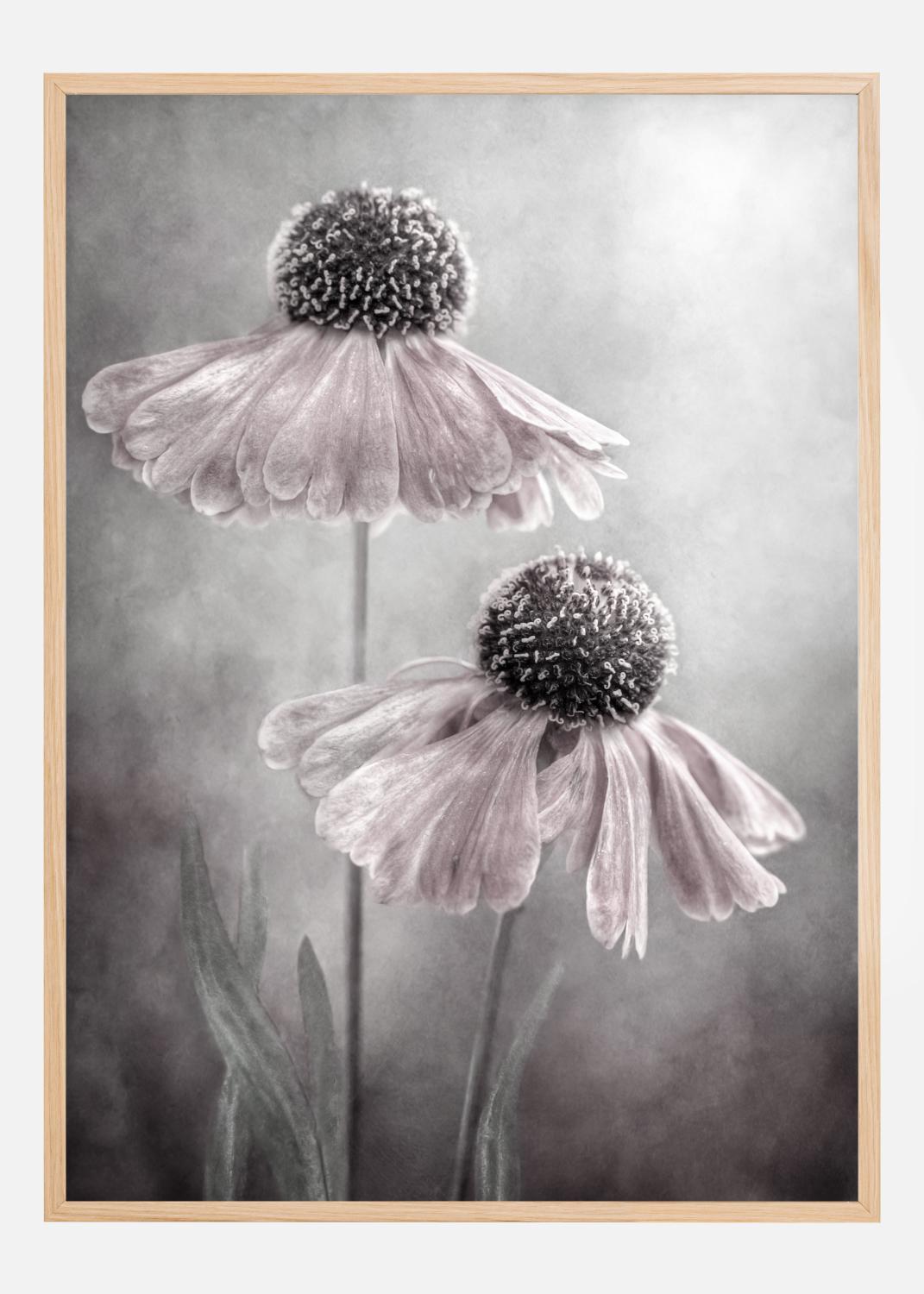 Product Image for Duet Poster (30x40 cm)