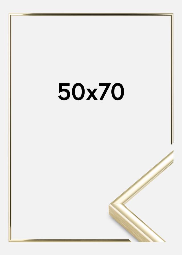 Ram Nielsen Premium Classic Guld 50x70 cm