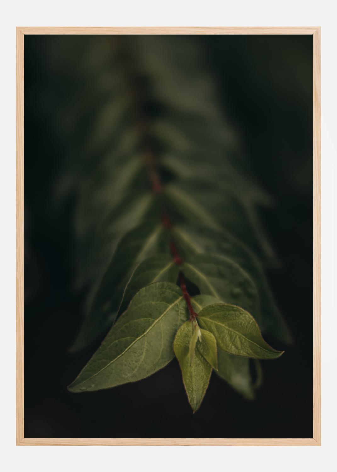 Blurry Branch Poster (50x70 cm)