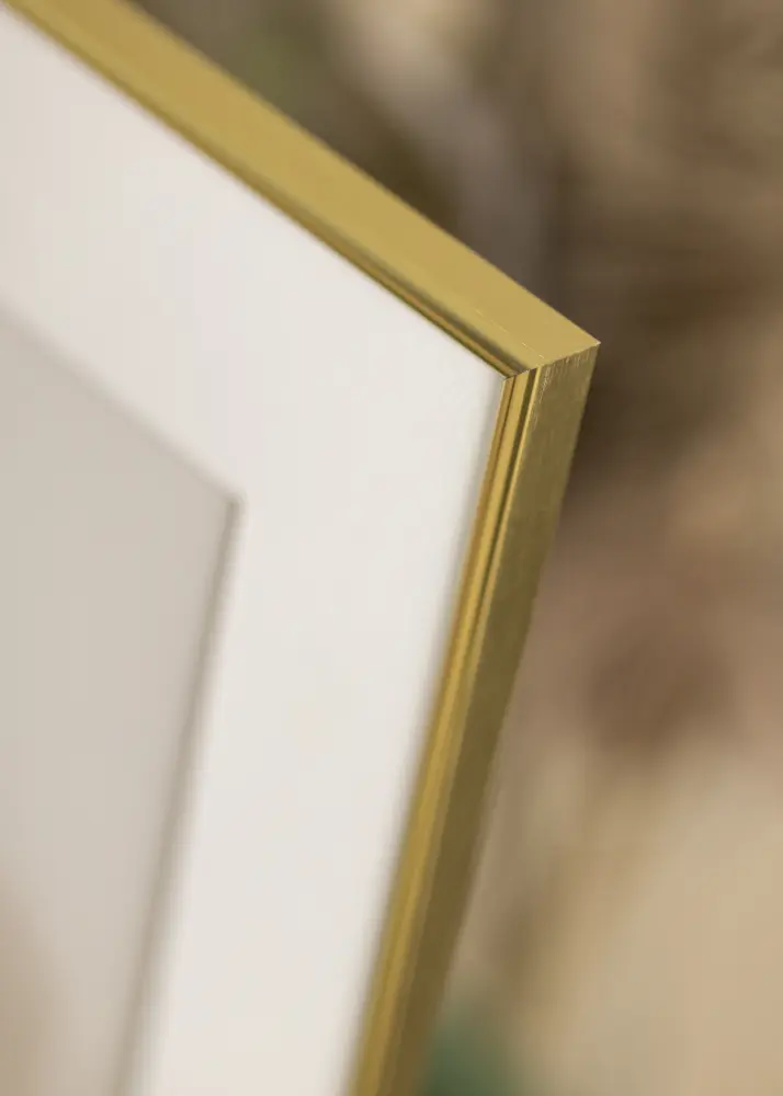 Ram Can-Can Guld 42x59,4 cm (A2)