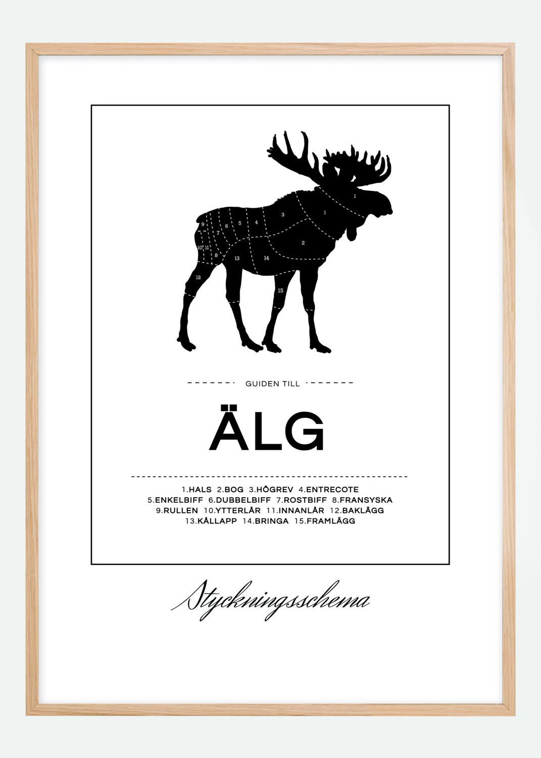 Styckningsschema Älg Poster (70x100 cm)