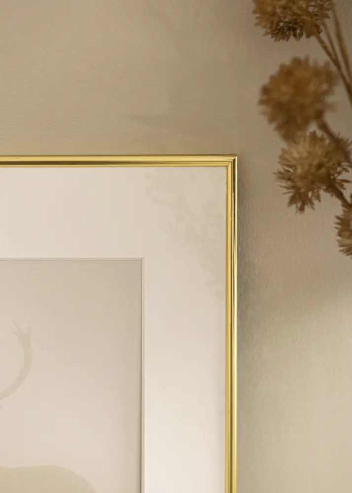 Ram Can-Can Guld 42x59,4 cm (A2)