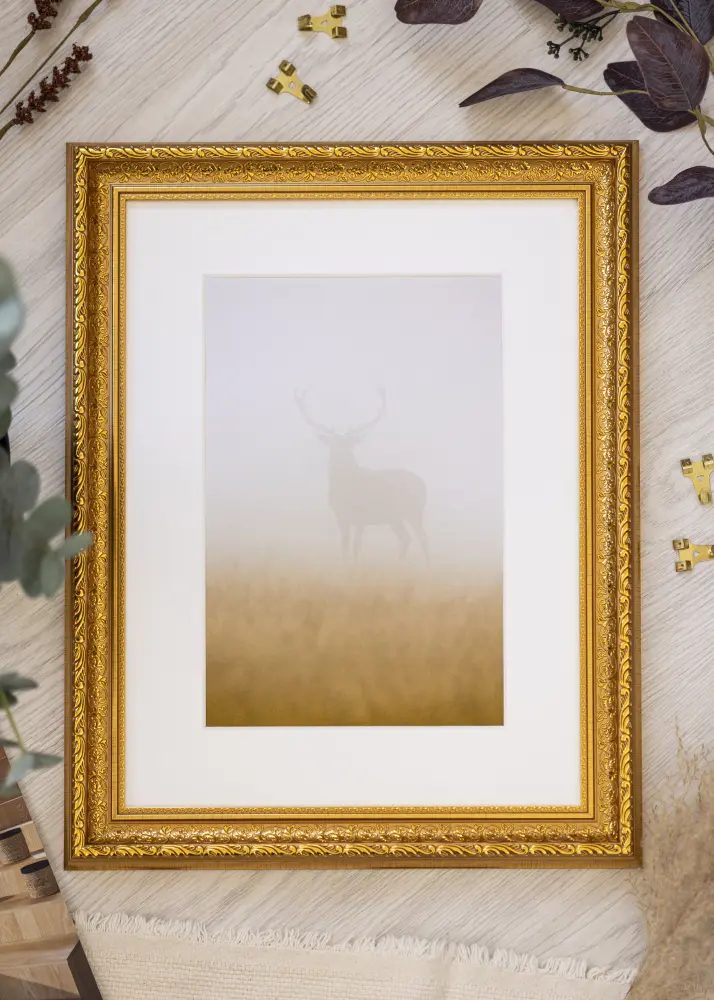 Ram Ornate Akrylglas Guld 42x59,4 cm (A2)