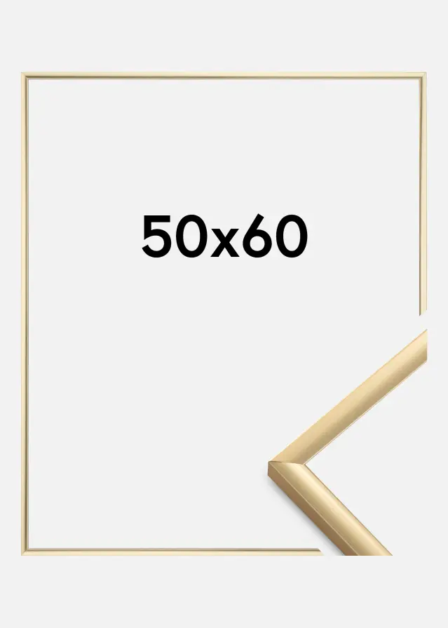 Ram New Lifestyle Akrylglas Guld 50x60 cm