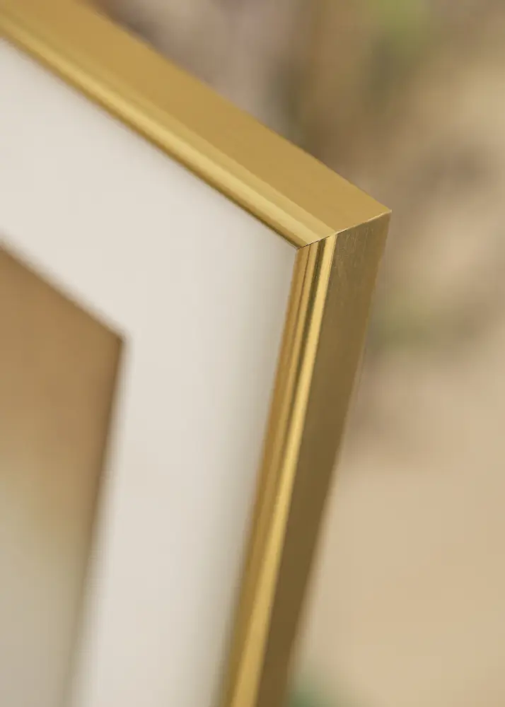 Ram Galeria Guld 21x29,7 cm (A4)