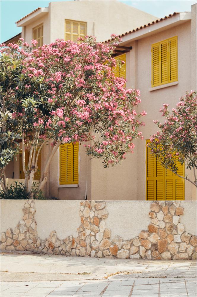 Bloom Village Poster