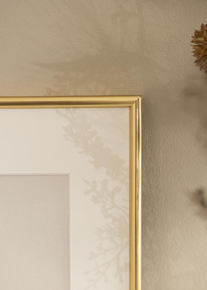Ram Galeria Guld 70x100 cm