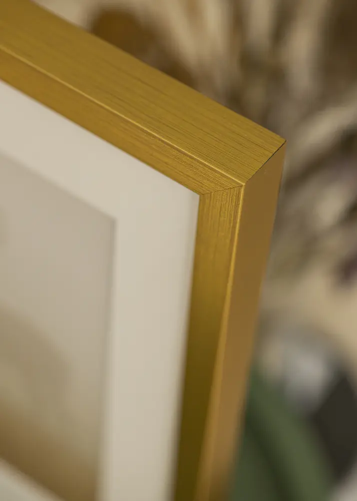Ram Falun Guld 15x20 cm