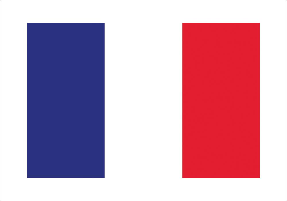 Flagga - Frankrike Poster