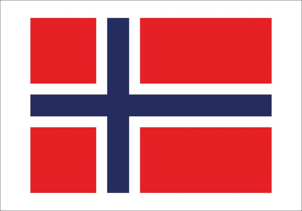 Flagga - Norge Poster