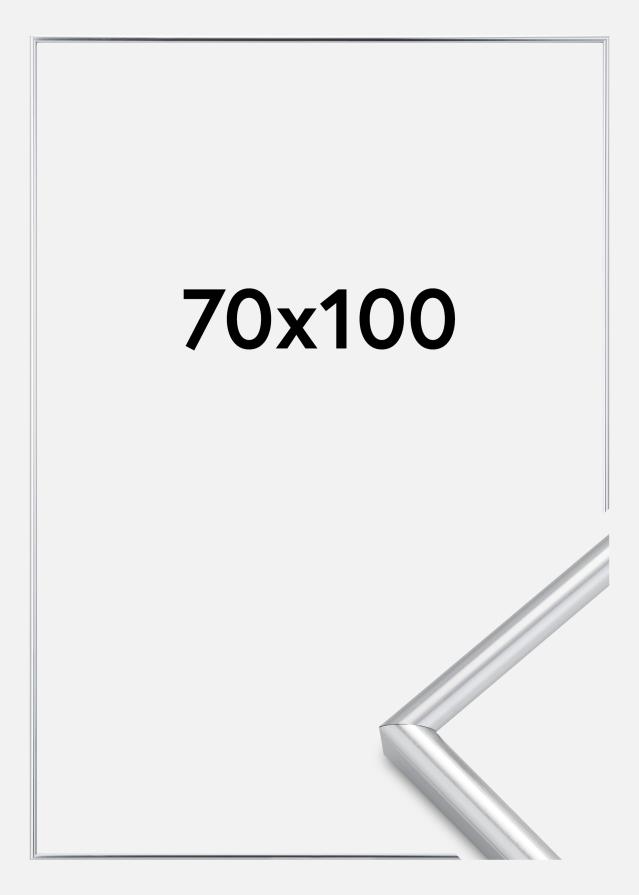 Ram Galeria Silver 70x100 cm