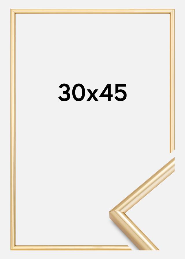 Ram Galeria Guld 30x45 cm