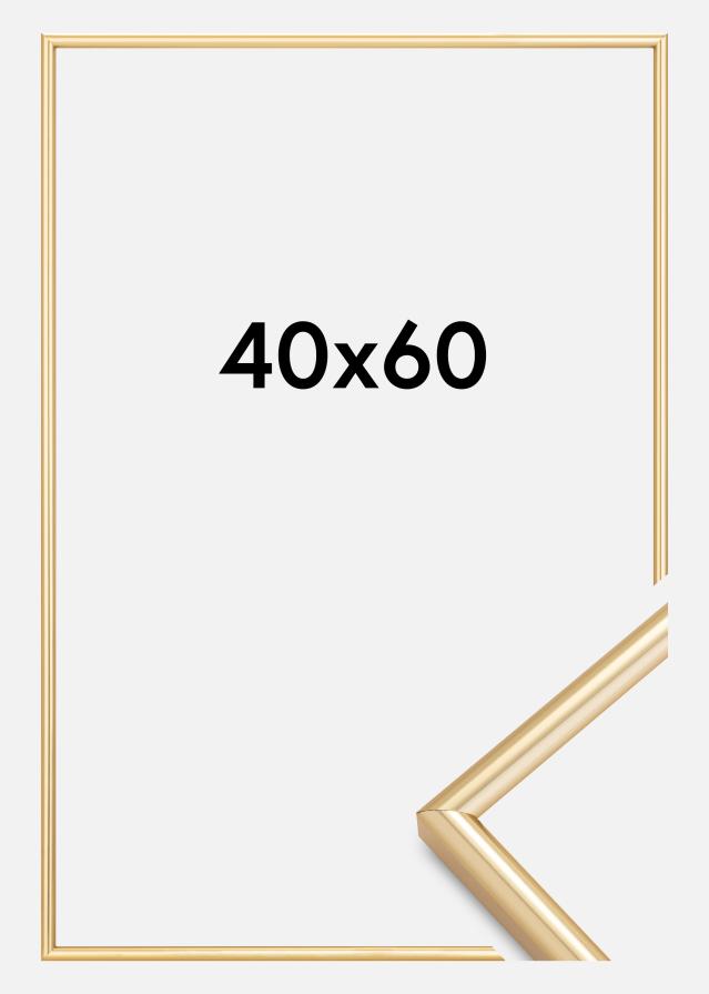 Ram Galeria Guld 40x60 cm