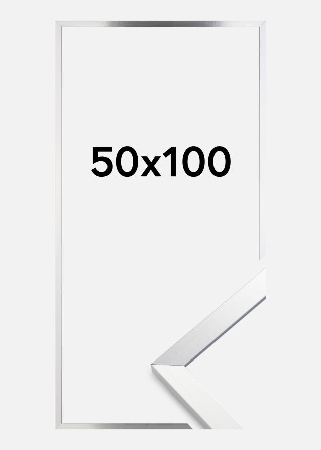 Ram Trendy Akrylglas Silver 50x100 cm