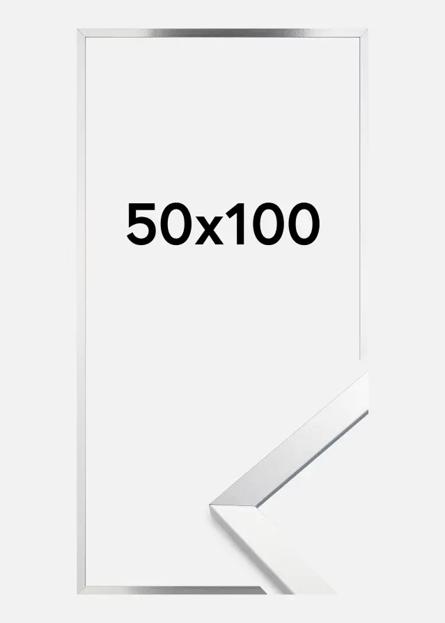 Ram Trendy Akrylglas Silver 50x100 cm