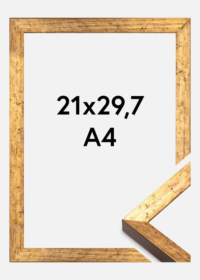 Ram Dune Akrylglas Guld 21x29,7 cm (A4)