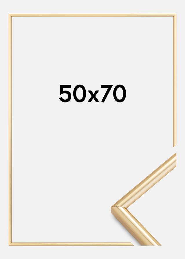 Ram Galeria Guld 50x70 cm