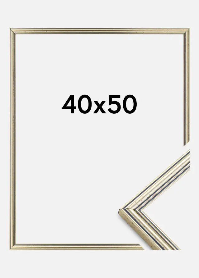 Ram Classic Silver 40x50 cm