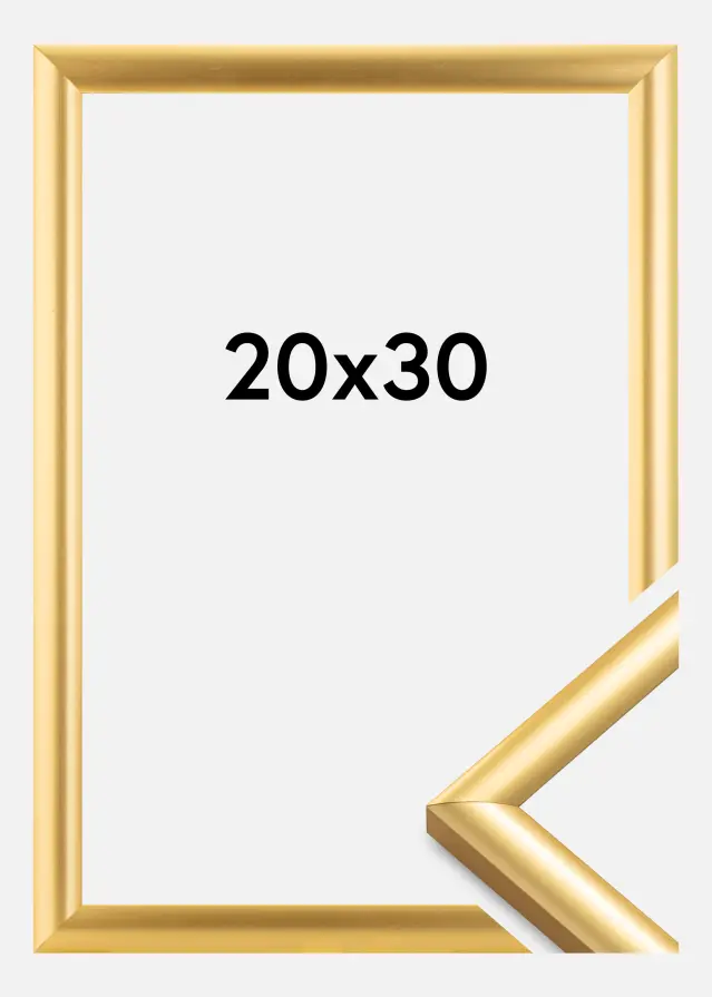 Ram Trendstyle Guld 20x30 cm