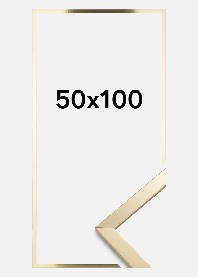 Ram Trendy Akrylglas Guld 50x100 cm