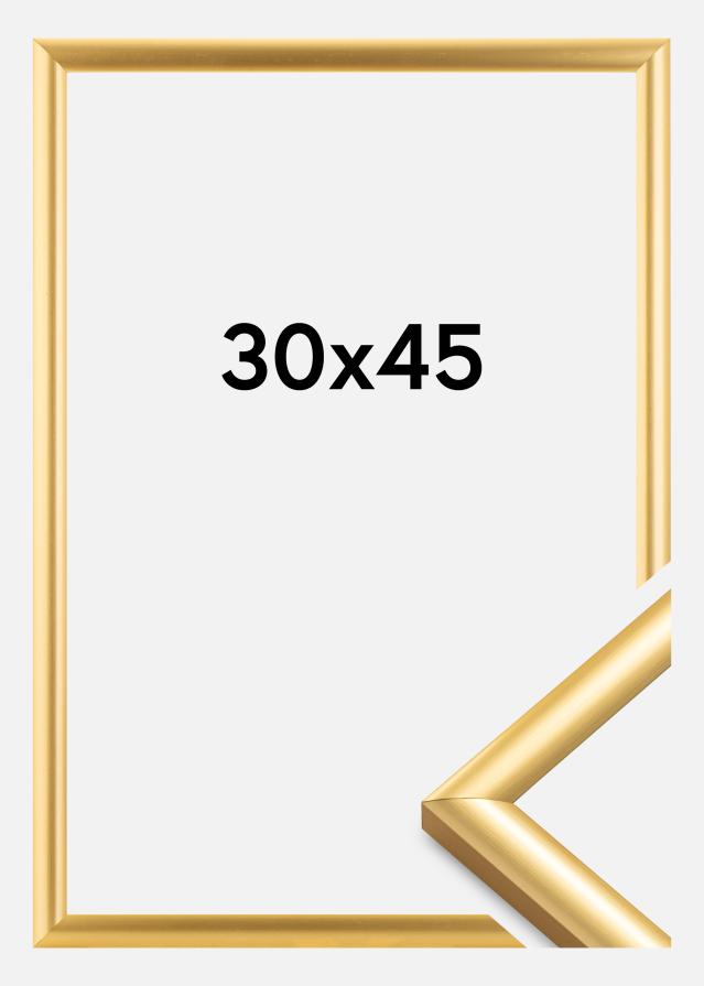 Ram Trendstyle Guld 30x45 cm