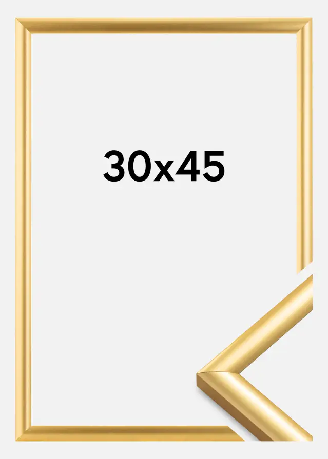 Ram Trendstyle Guld 30x45 cm