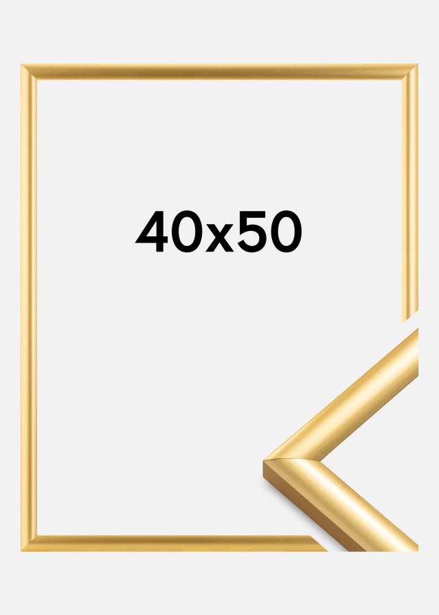 Ram Trendstyle Guld 40x50 cm