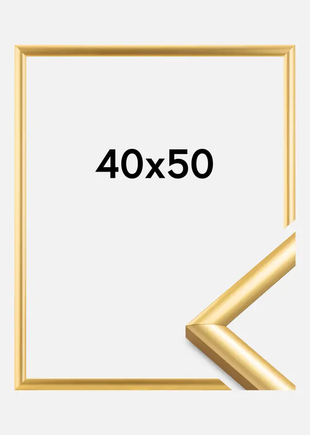 Ram Trendstyle Guld 40x50 cm