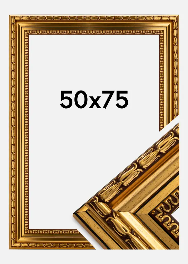 Ram Birka Premium Guld 50x75 cm