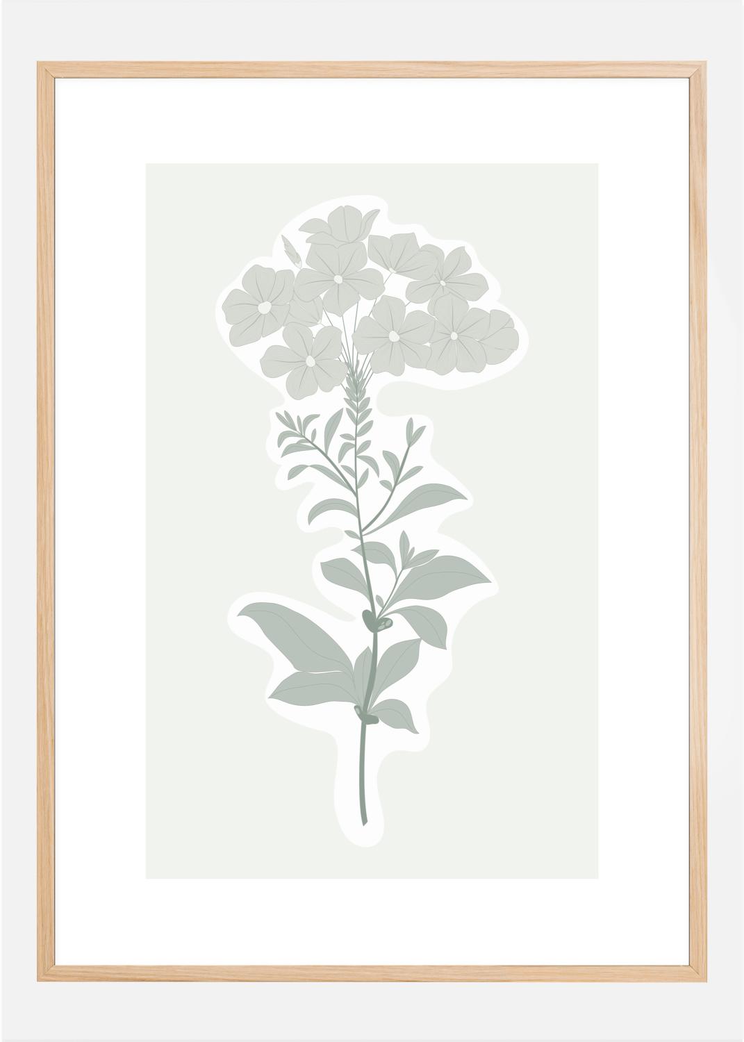 BOTANIC Poster (21x29.7 cm (A4))