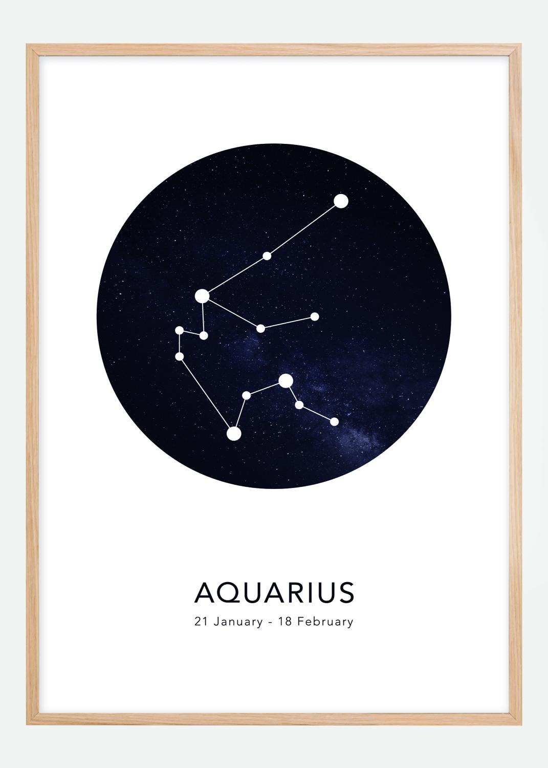 Aquarius Poster (30x40 cm)