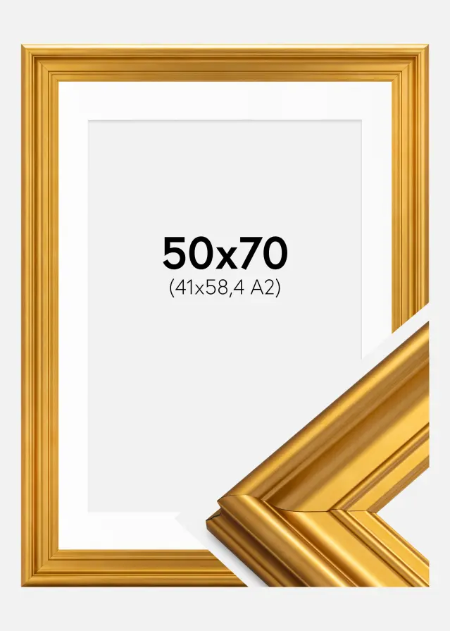 Ram Mora Premium Guld 50x70 cm - Passepartout Vit 42x59,4 cm (A2)