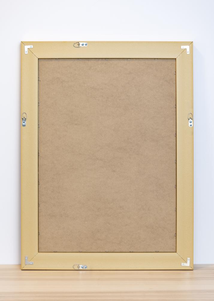 Spegel Alina Guld 62x82 cm