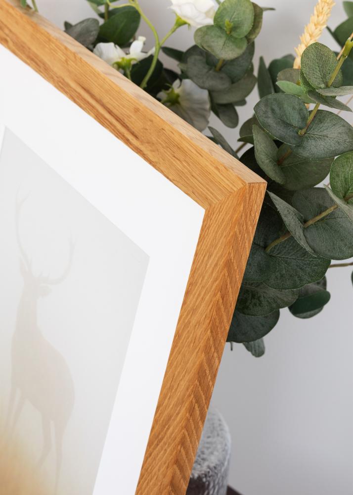 BGA Select Wide Akrylglas Ek 50x70 cm