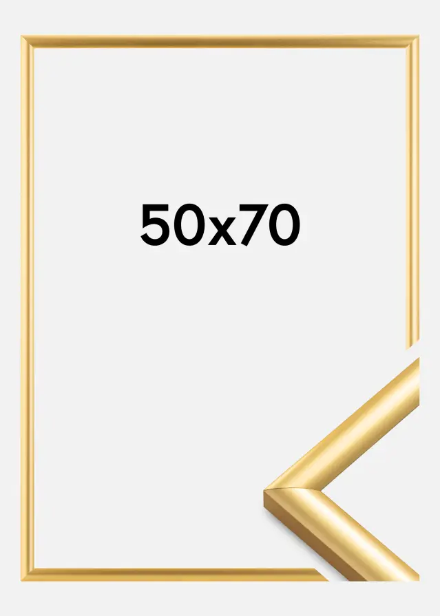 Ram Trendstyle Guld 50x70 cm